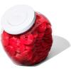 imageOXO Good Grips 30 Qt POP Medium Cookie Jar  Airtight Food Storage  for Snacks and More White and ClearMedium Jar  3 Qt Pack of 8